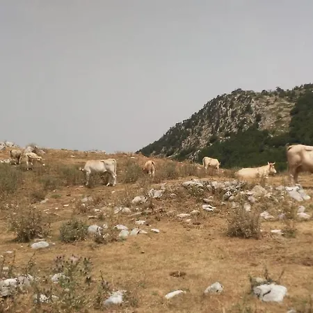 Nocleg ze śniadaniem Mille E Notte 3*