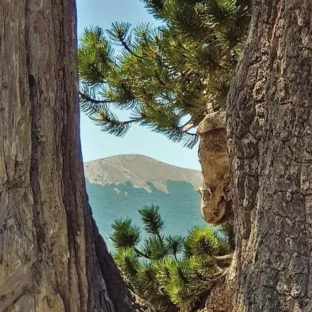 Mille E Notte Oda ve Kahvaltı San Severino Lucano