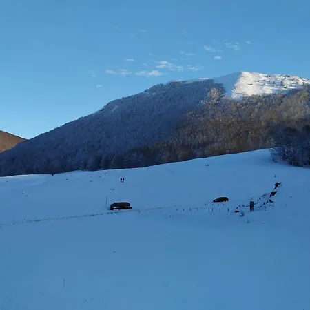 Mille E Notte