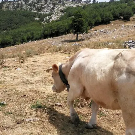 לינה וארוחת בוקר Mille E Notte סן סברינו לוקאנו