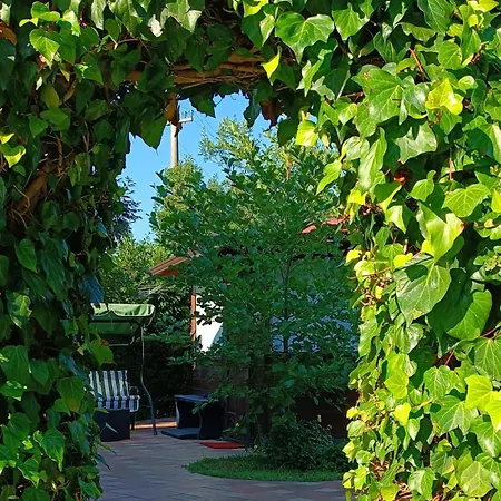 Mille E Notte Bed & Breakfast San Severino Lucano