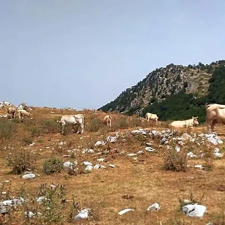 Mille E Notte Oda ve Kahvaltı San Severino Lucano
