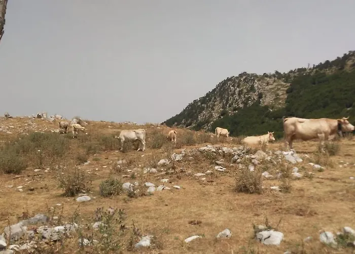 Oda ve Kahvaltı Mille E Notte 3*