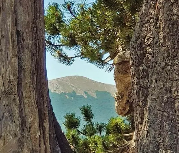 Mille E Notte Oda ve Kahvaltı San Severino Lucano