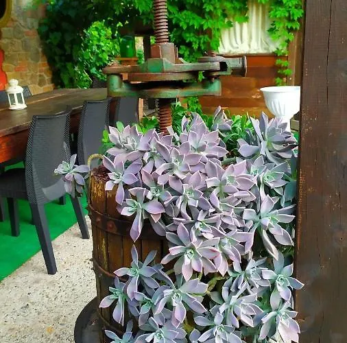 Mille E Notte Oda ve Kahvaltı