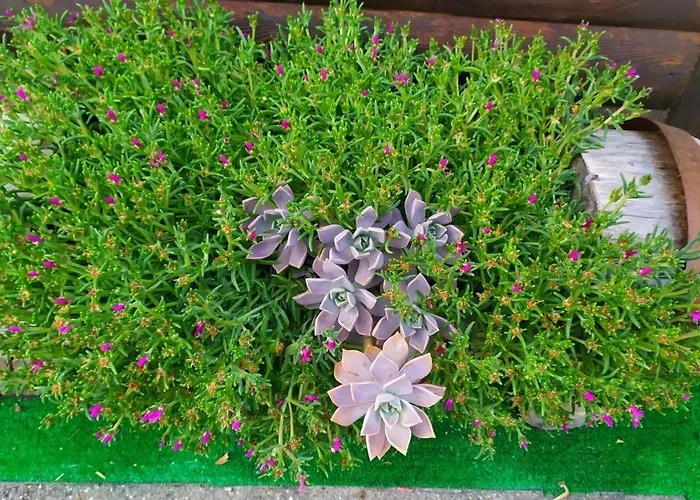 Mille E Notte 3* San Severino Lucano