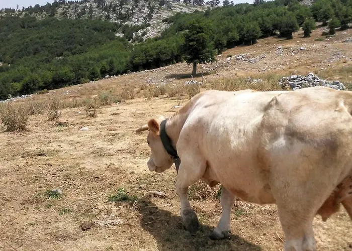 Oda ve Kahvaltı Mille E Notte San Severino Lucano
