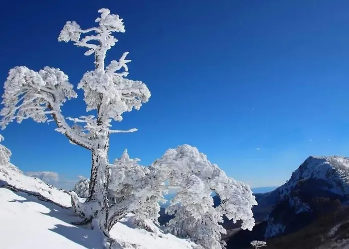 Mille E Notte Bed & Breakfast San Severino Lucano