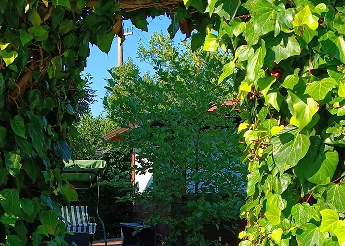 Mille E Notte Bed & Breakfast San Severino Lucano